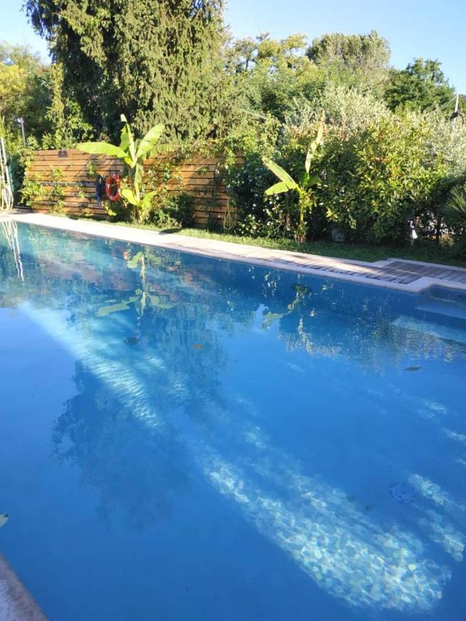 Villa Paradiso Del Garda Vista-Verde Bardolino Exterior photo